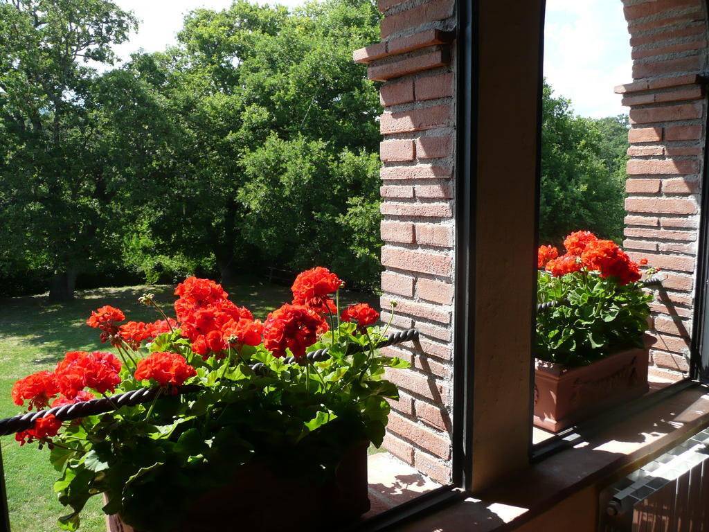 Agriturismo Colli Di Travale Montieri Pokój zdjęcie