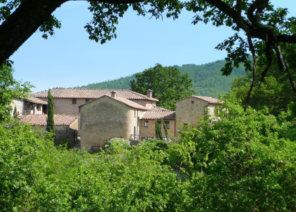 Agriturismo Colli Di Travale Montieri Pokój zdjęcie